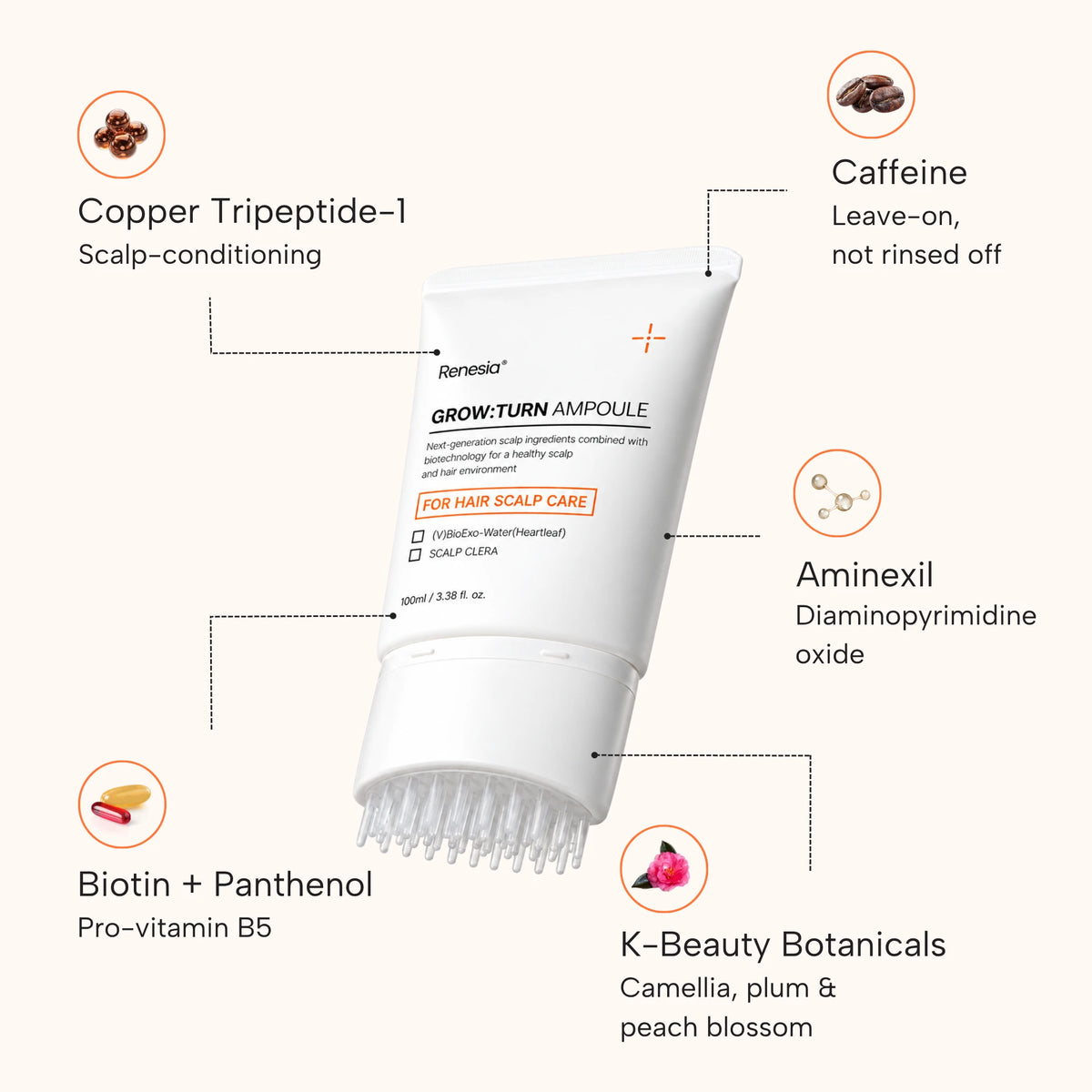 Key actives: copper tripeptide-1, caffeine, aminexil, biotin and panthenol, K-beauty botanicals